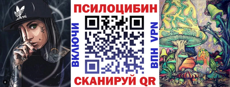 дарнет шоп Буй Галлюциногенные грибы ЛСД