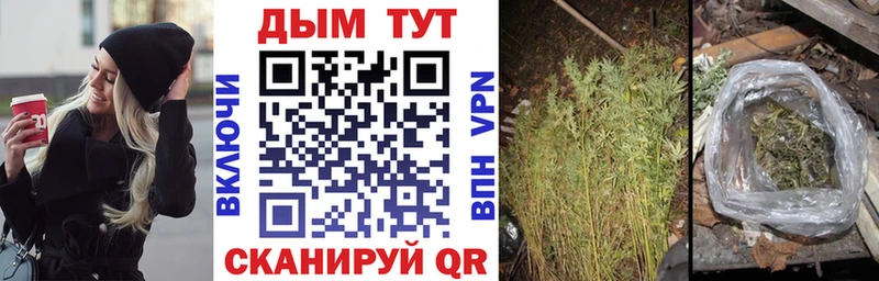 Бошки марихуана Bruce Banner  Буй 